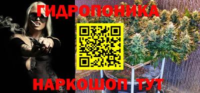 ПСИЛОЦИБИНОВЫЕ ГРИБЫ Краснодар
