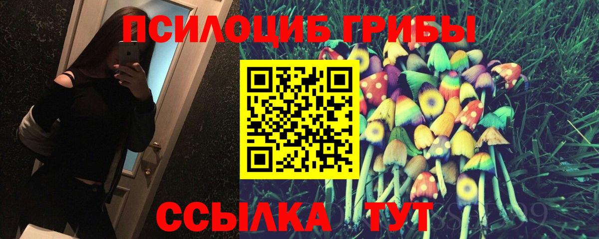 закладка  Галлюциногенные грибы MAGIC MUSHROOMS  Вход с VPN  Удомля  Псилоцибиновые грибы MAGIC MUSHROOMS 
