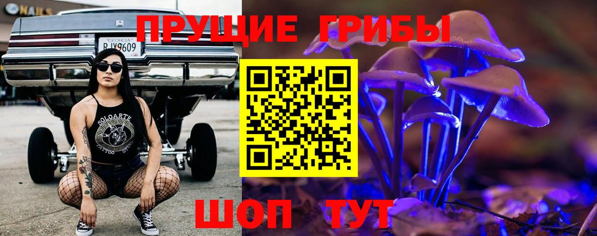 Псилоцибиновые грибы Psilocybine cubensis Удомля